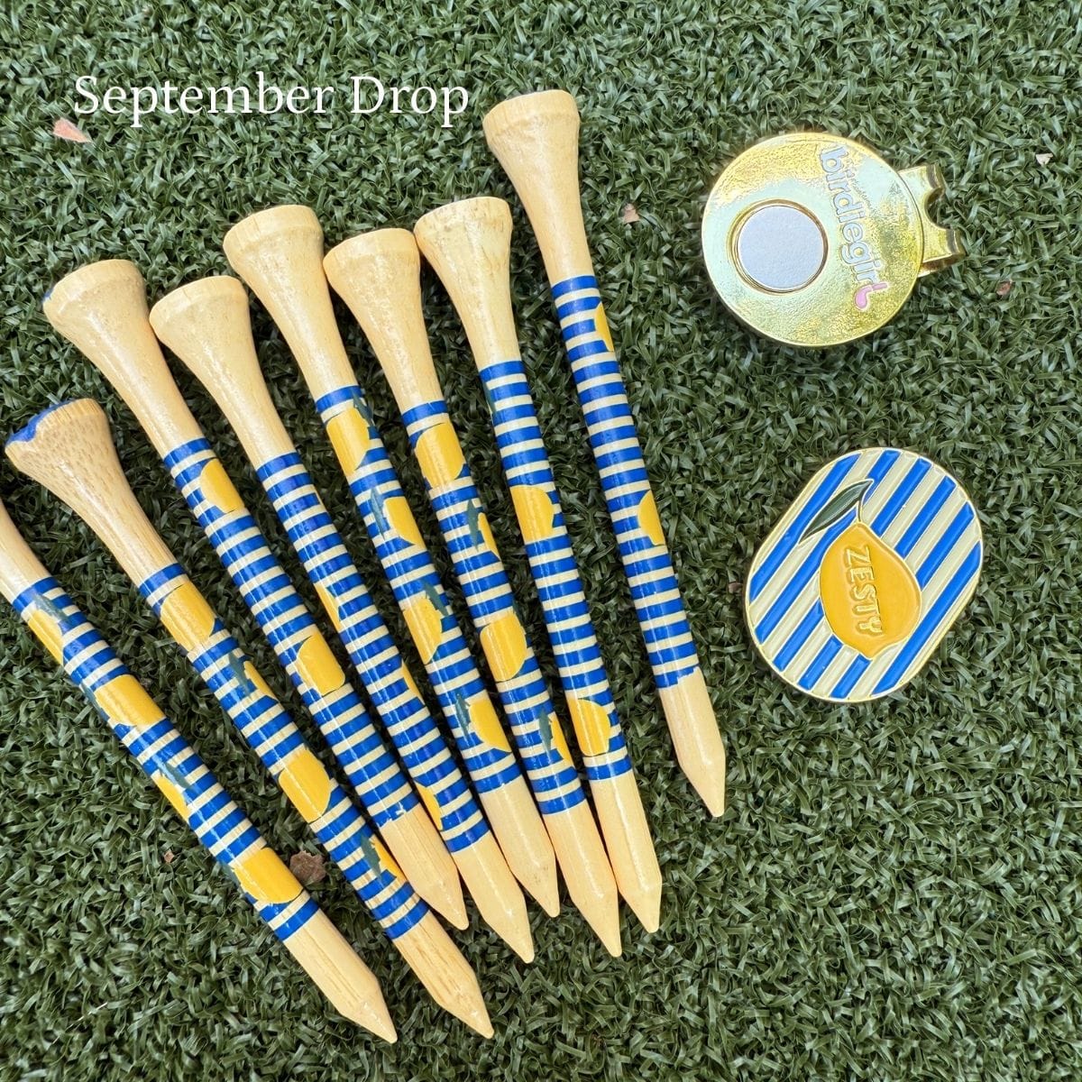 The Clubhouse Collection