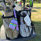Lilac and Neon Dreams Women's Golf Accessory Bag - Birdie Girl Golf